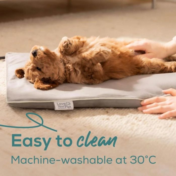 Термоподложка Beurer PP 210 Lilli Small heating mat for dogs and